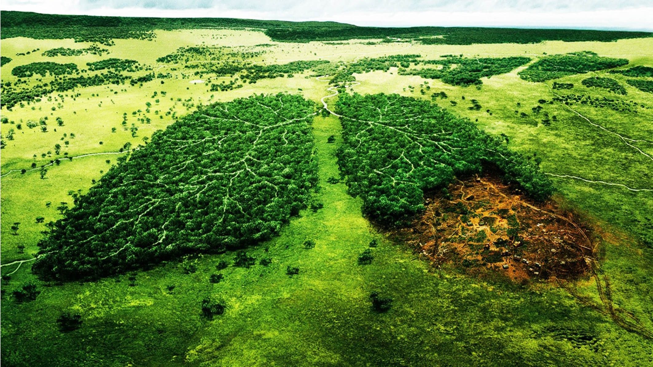 Derecho Ambiental