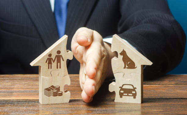 Litigios Inmobiliarios