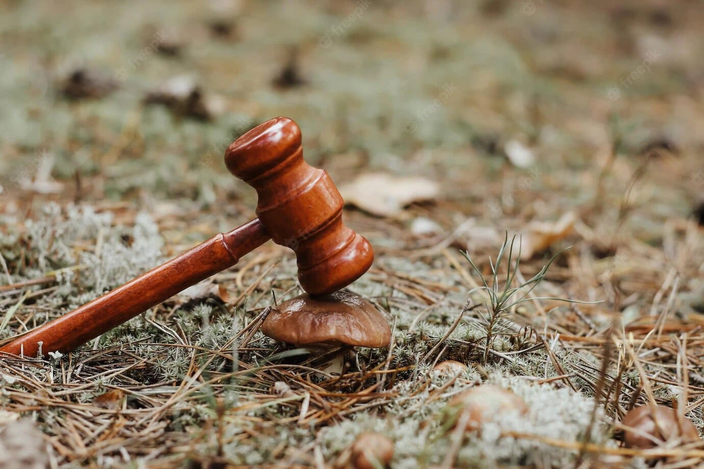 Litigios Ambientales