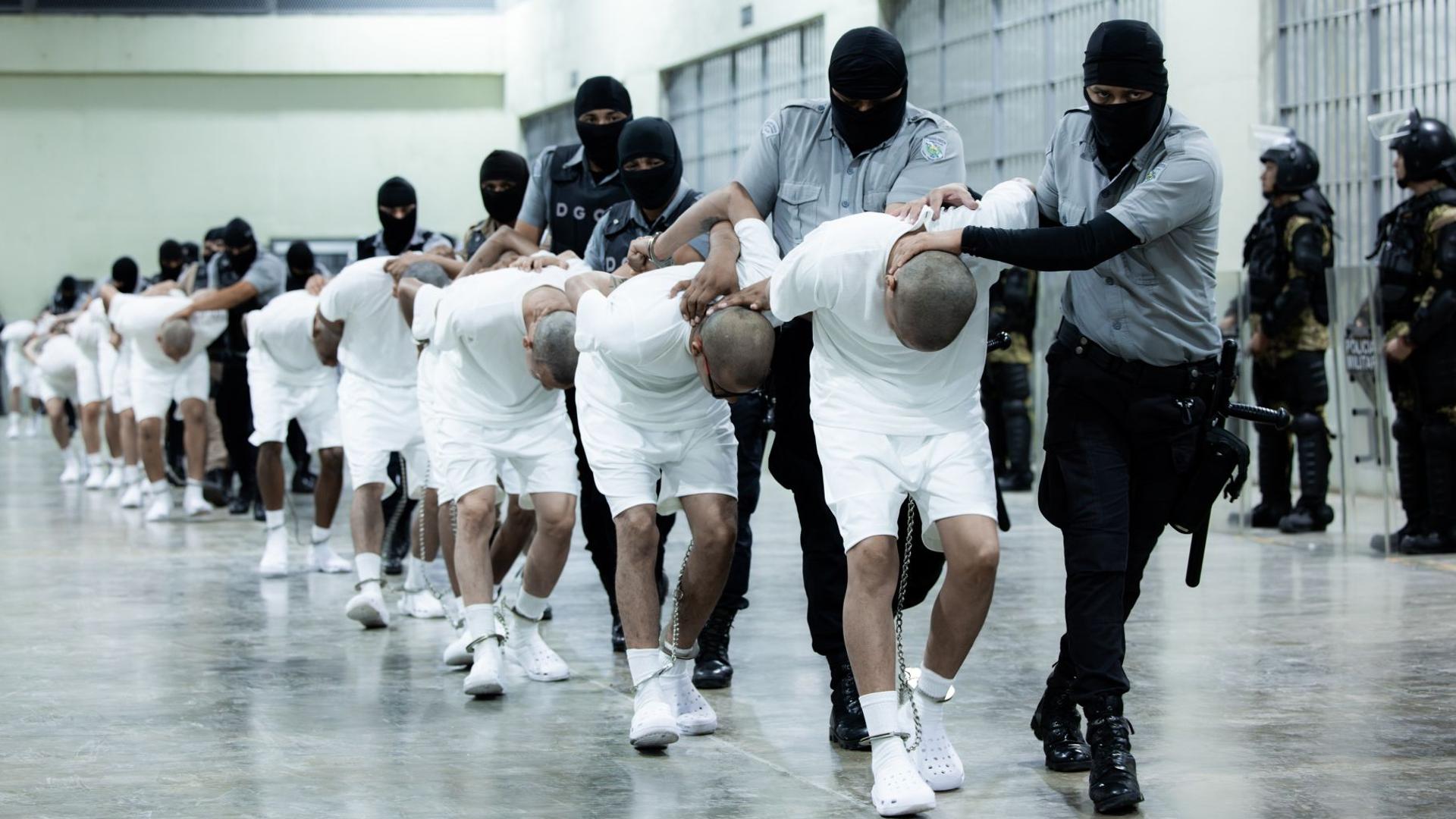 Derechos Humanos, Crímenes de Lesa Humanidad y la Jurisdicción como Escudo de Impunidad: Un Análisis desde el Derecho Internacional y la Perspectiva Argentina